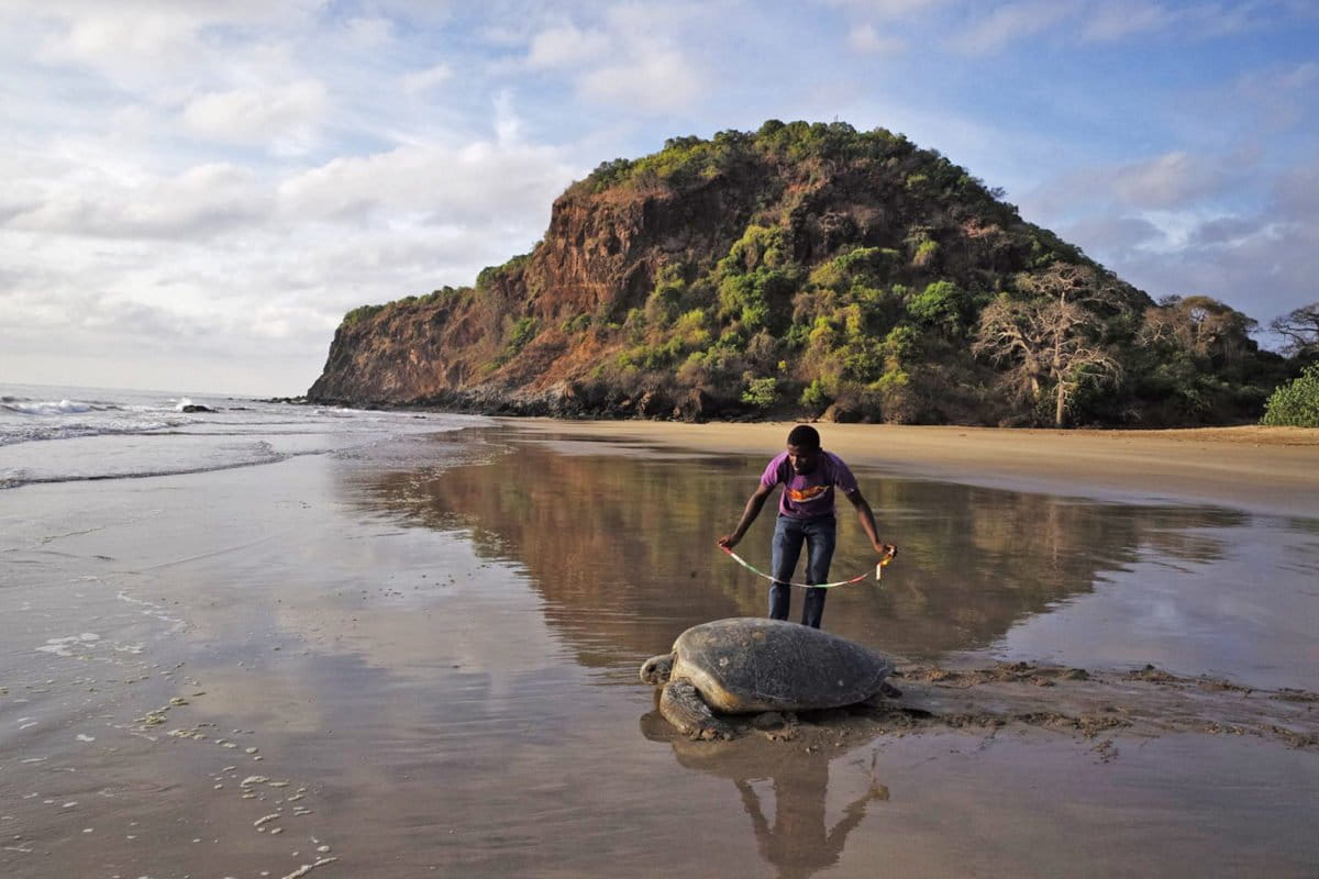For 20 years, Comoros had only 1 national park. It&rsquo;s now creating 5 more